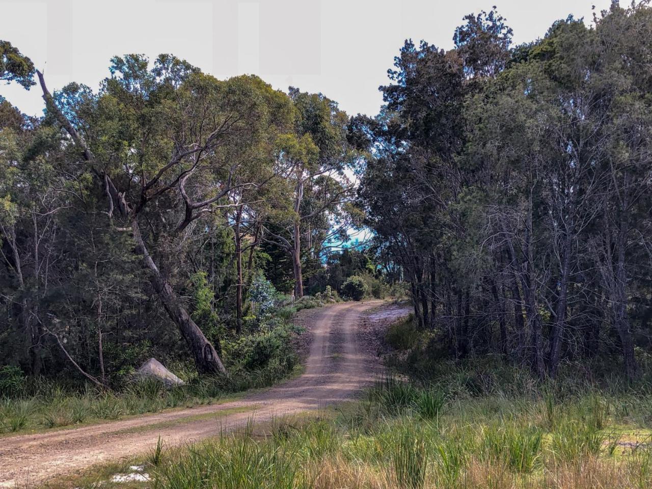 Bay Of Fires Eco Hut Off Grid Experience At Binalong Bay Villa Exteriör bild